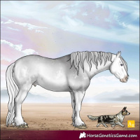 Horse Color:Silver Buckskin Chinchilla Onyx Mushroom Sabino Splash 