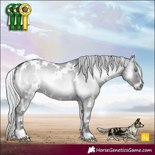 Horse Color:White Spotted Silver Smoky Grullo Chinchilla Onyx 
