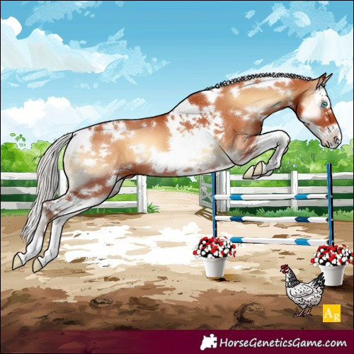 Horse Color:White Spotted Silver Bay Onyx Splash Frame 