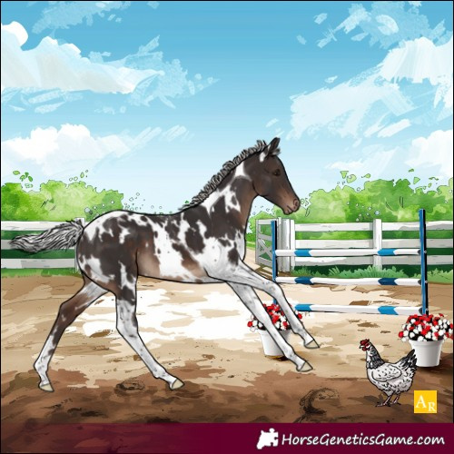 Horse Color:White Spotted Silver Brown Onyx Tobiano Varnish