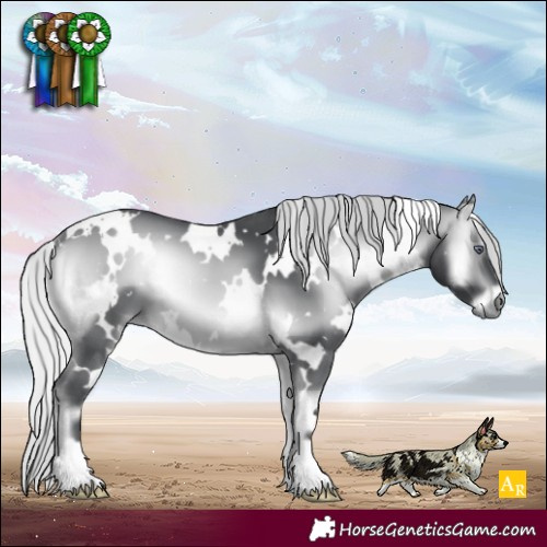 Horse Color:White Spotted Silver Brown Chinchilla Onyx