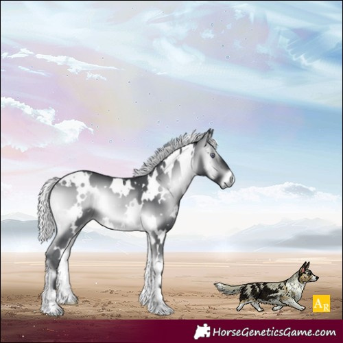 Horse Color:White Spotted Silver Brown Chinchilla Onyx