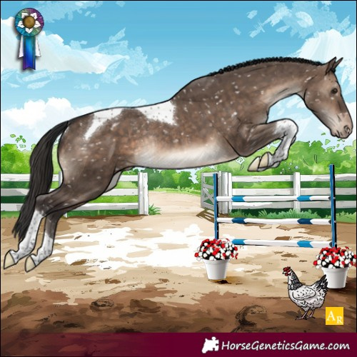Horse Color:Brown Dun Tobiano Blanket Rabicano Brindle 