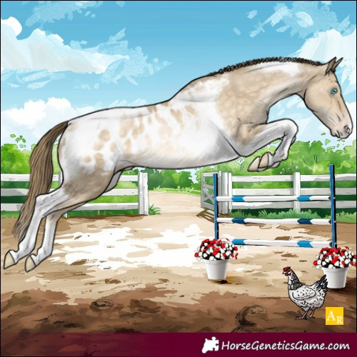 Horse Color:Buckskin Pearl Tobiano Blanket Rabicano 