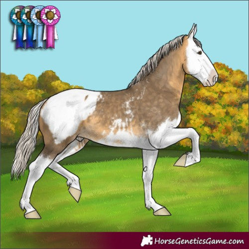 Horse Color:Silver Buckskin Dun Splash Snowcap