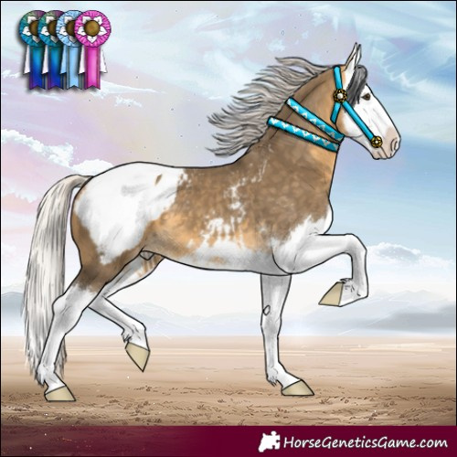 Horse Color:Silver Buckskin Dun Splash Snowcap 