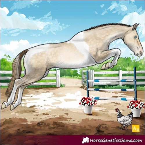 Horse Color:Buckskin Pearl Dun Tobiano Varnish Rabicano Brindle