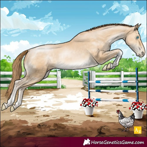 Horse Color:Buckskin Pearl Tobiano