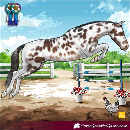 Horse Color:Brown Tobiano Leopard 