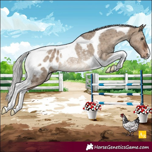 Horse Color:Silver Brown Dun Tobiano Blanket Rabicano Brindle 