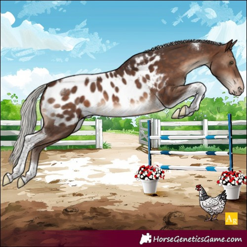 Horse Color:Silver Brown Tobiano Near Leopard 