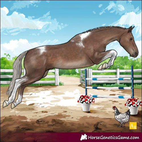 Horse Color:Silver Black Tobiano
