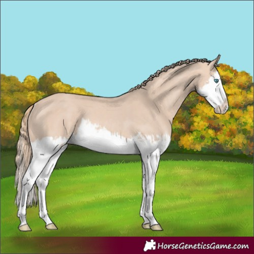 Horse Color:Perlino Splash  and Perlino Splash Rabicano 