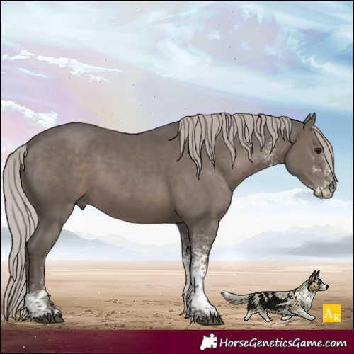 Horse Color:White Spotted Silver Black 