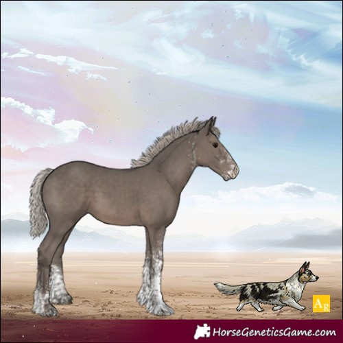 Horse Color:White Spotted Silver Black