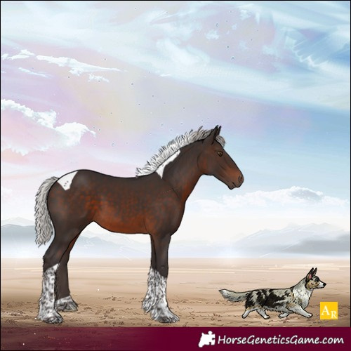 Horse Color:Silver Brown Mushroom Tobiano