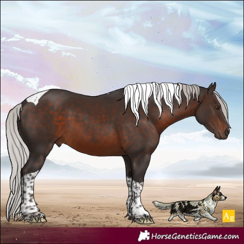 Horse Color:Silver Brown Mushroom Tobiano 