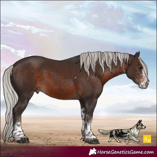 Horse Color:White Spotted Silver Brown Tobiano