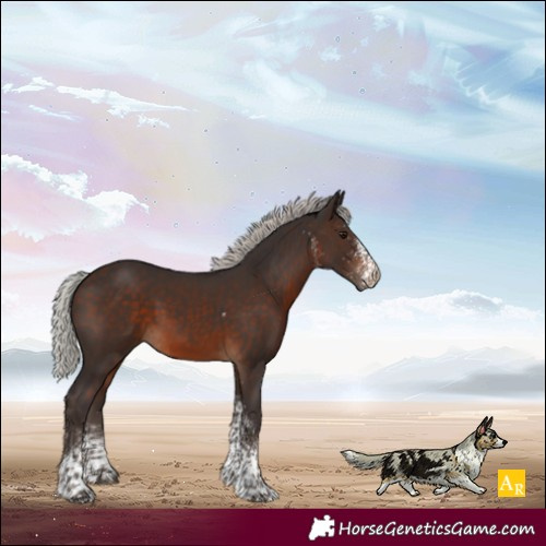 Horse Color:White Spotted Silver Brown Tobiano 