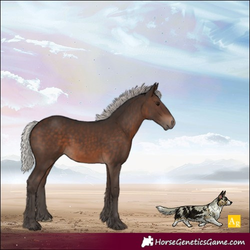 Horse Color:Silver Brown 
