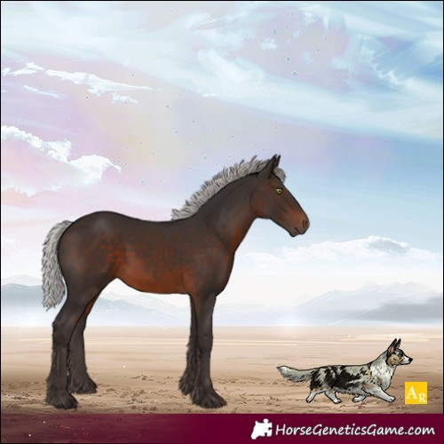 Horse Color:Silver Brown Mushroom 