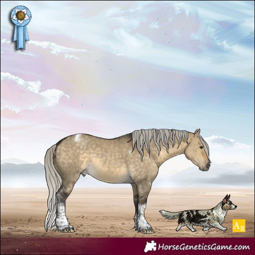 Horse Color:Silver Buckskin Dun Tobiano 