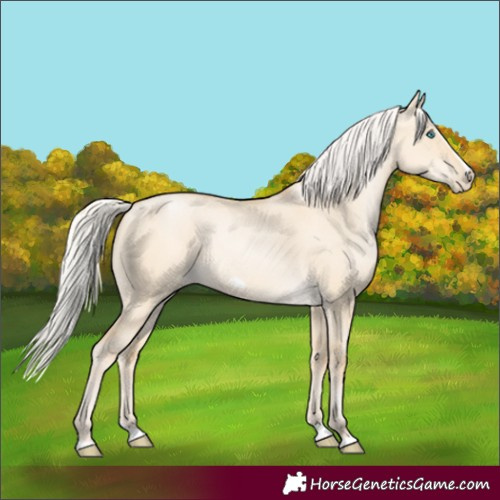 Horse Color:Silver Smoky Grullo Pearl Splash Frame