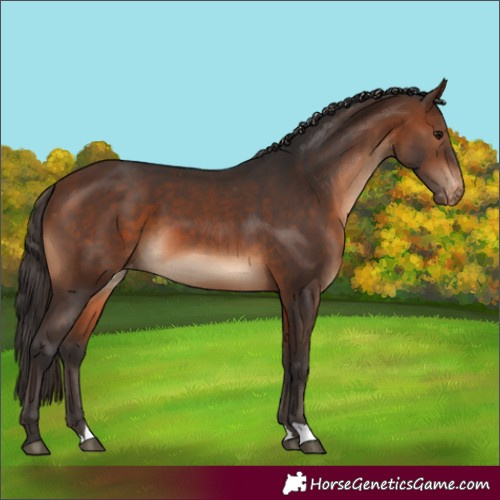 Horse Color:Brown Varnish 