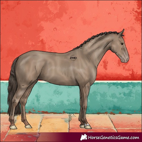 Horse Color:Classic Champagne 