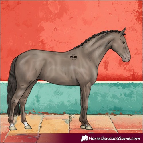 Horse Color:Classic Champagne 