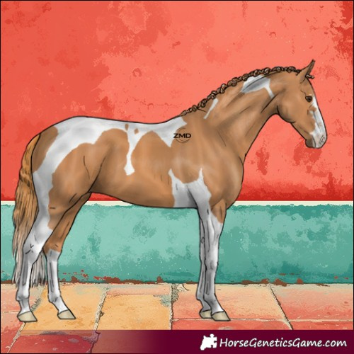 Horse Color:Chestnut Tobiano