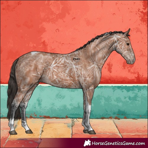 Horse Color:Bay Ice Tobiano