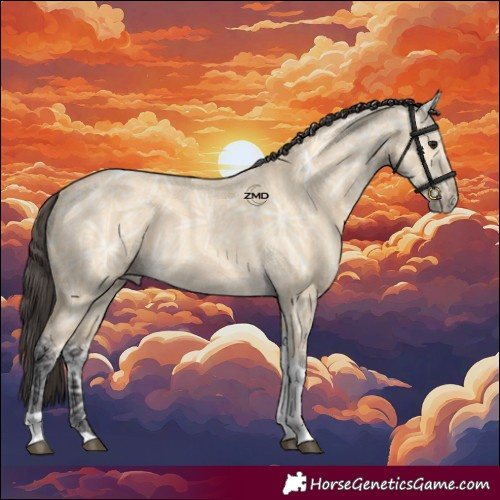 Horse Color:Buckskin Ice Tobiano 