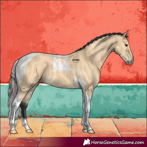 Horse Color:Buckskin Tobiano
