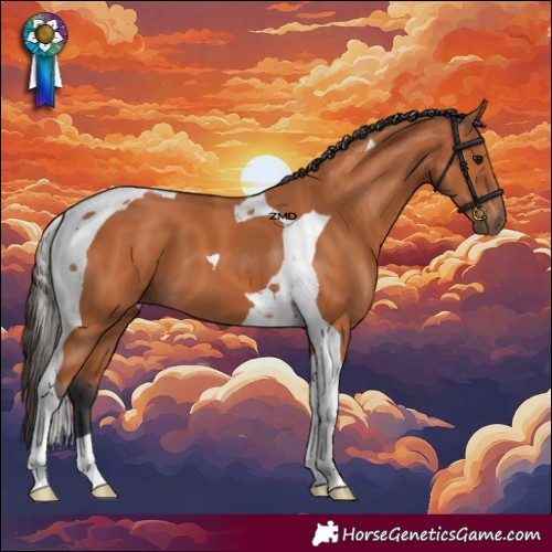 Horse Color:Bay Tobiano 