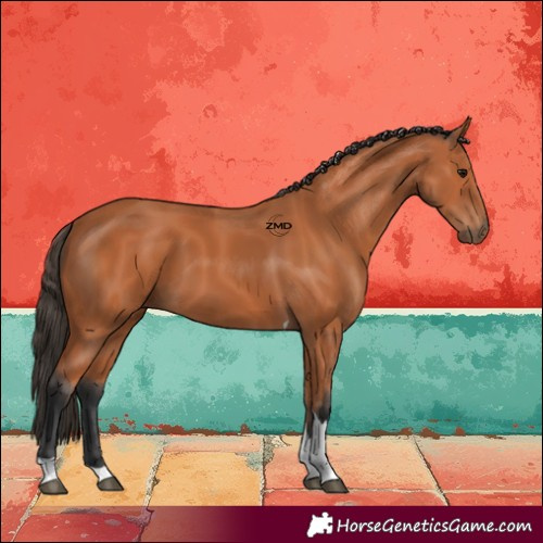 Horse Color:Bay Tobiano 