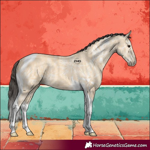 Horse Color:Buckskin Ice Tobiano