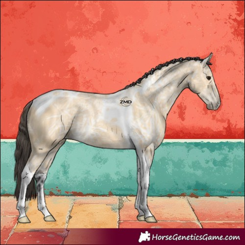 Horse Color:Buckskin Ice Tobiano 