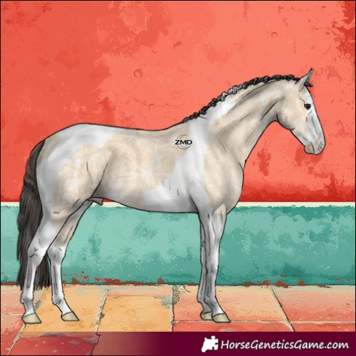 Horse Color:Buckskin Ice Splash Tobiano