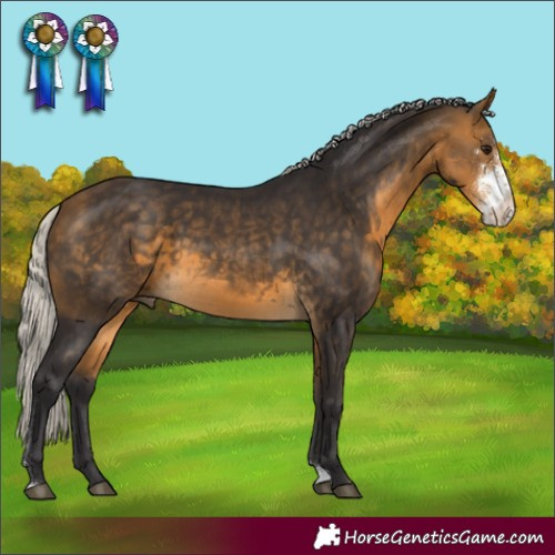 Horse Color:Silver Buckskin Sabino 