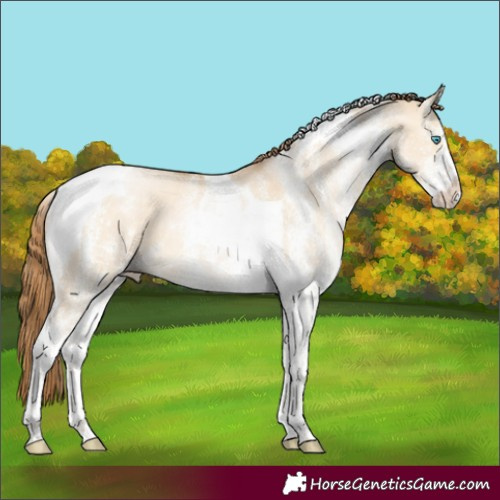 Horse Color:White Spotted Buckskin Pearl Dun Tobiano 