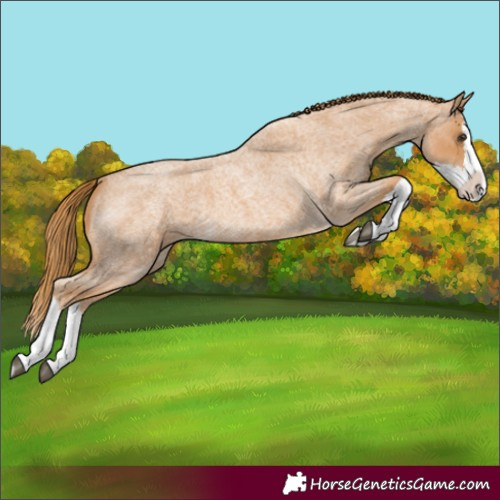 Horse Color:Red Roan Splash 