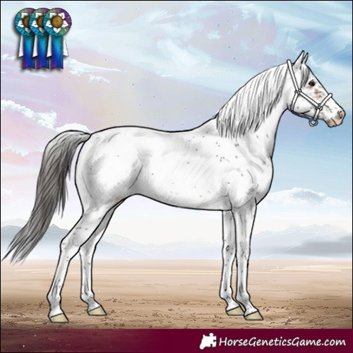 Horse Color:White Spotted Bay Sabino Frame Blanket