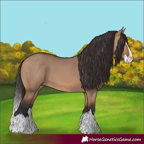 Horse Color:Unknown 