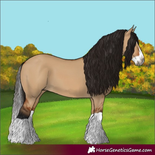 Horse Color:Unknown 