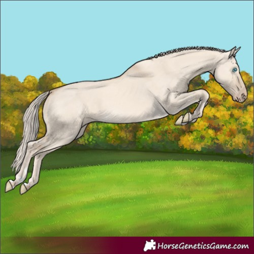 Horse Color:Cremello Dun 
