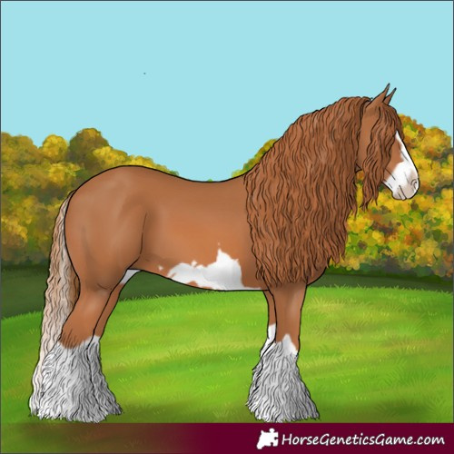 Horse Color:Chestnut Splash Frame