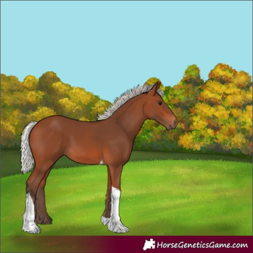 Horse Color:Silver Brown Tobiano 