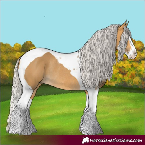 Horse Color:Silver Buckskin Splash Tobiano Rabicano 