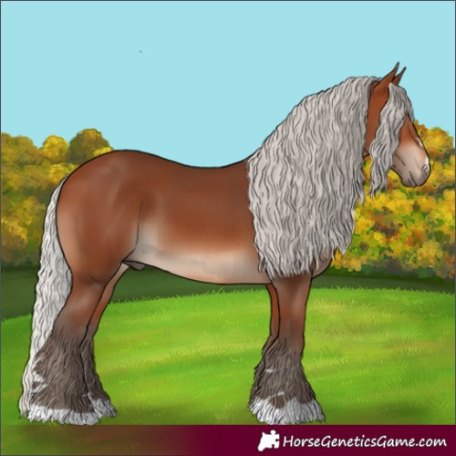 Horse Color:Unknown 